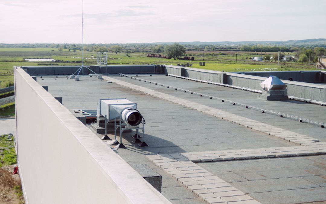 What Every Business Owner Needs to Know About Flat Roofs