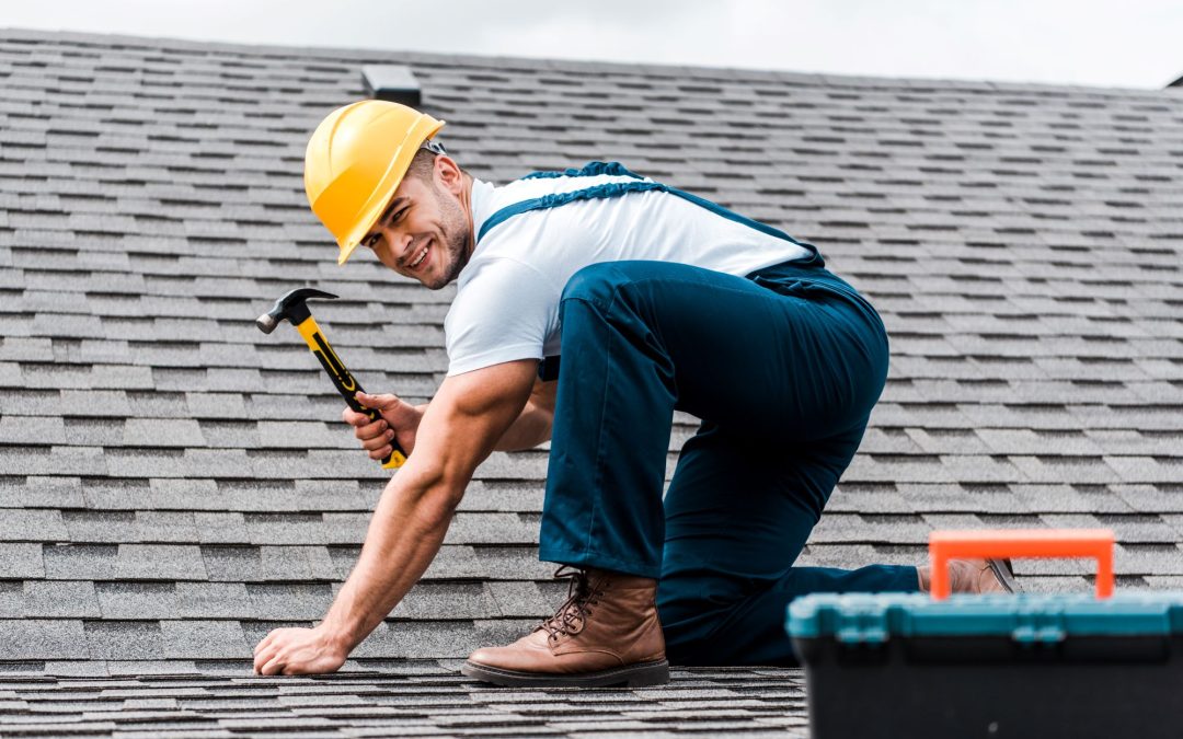 Shingle Roof