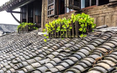 The Impact of Roof Design on Home Energy Efficiency