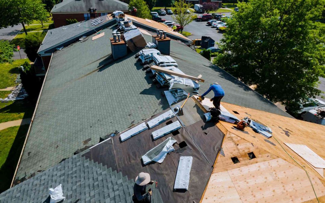 Spotting Roof Leaks: Essential Detection Tips