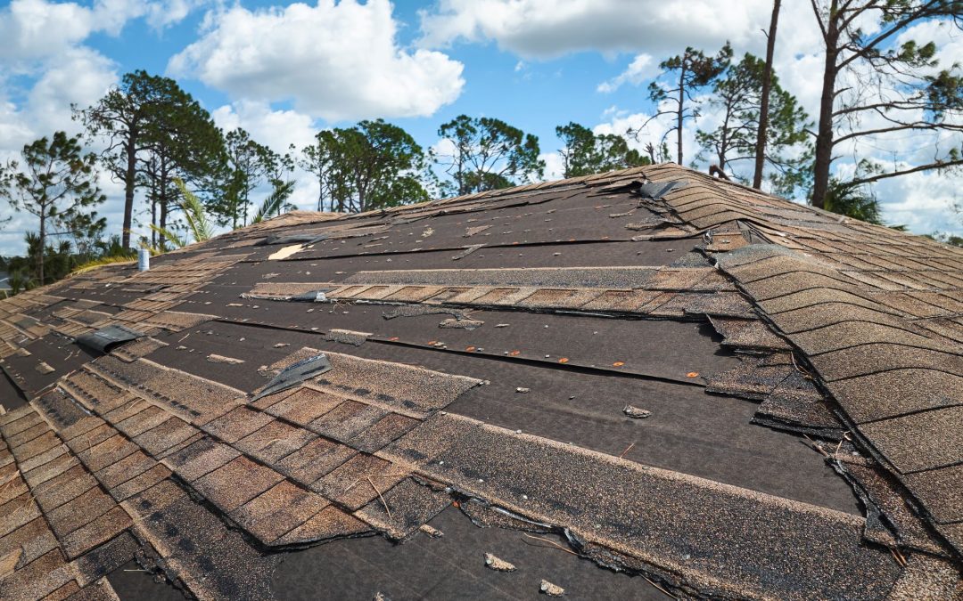Signs You Need a New Roof & Material Guide