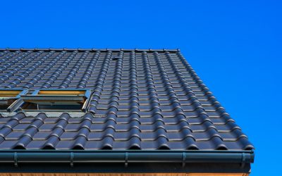 The Benefits of Installing a New Shingle Roof for Long-Term Home Protection