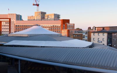 Beyond Waterproofing: How TPO Roofs Enhance Commercial Property Value