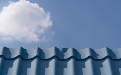 Effective Maintenance Tips for Commercial Metal Roofs