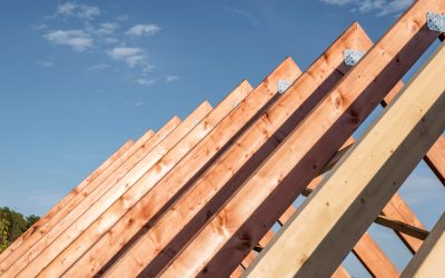 Exploring the Environmental Benefits of Residential Wood Roof Systems