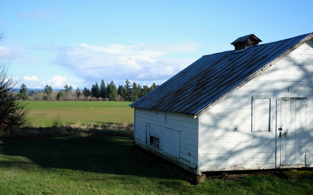 Metal Roof