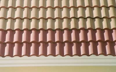 The Lifespan and Maintenance Needs of Shingle Roofing Systems