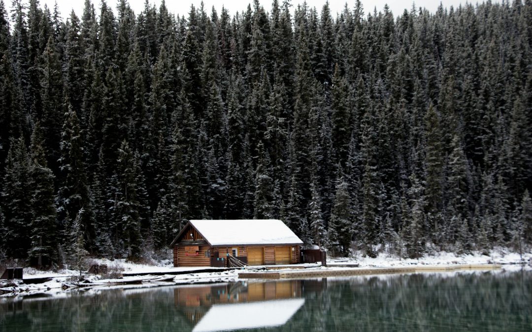 Winter Roof