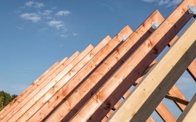 Keeping Your Wood Roof in Top Condition