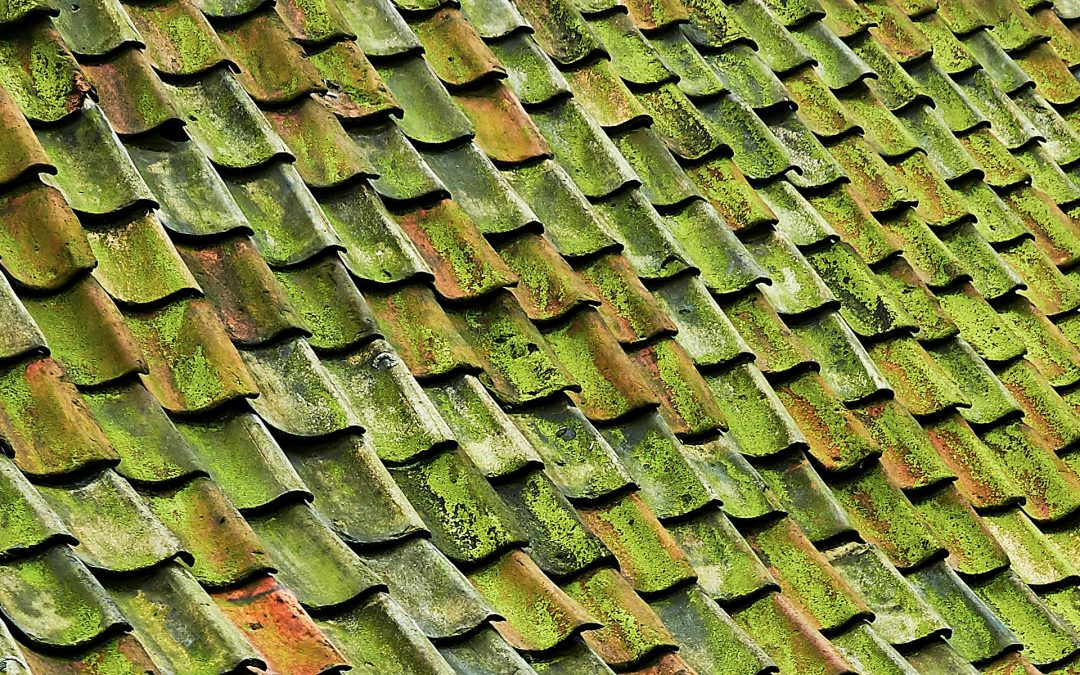 Tile Roofing