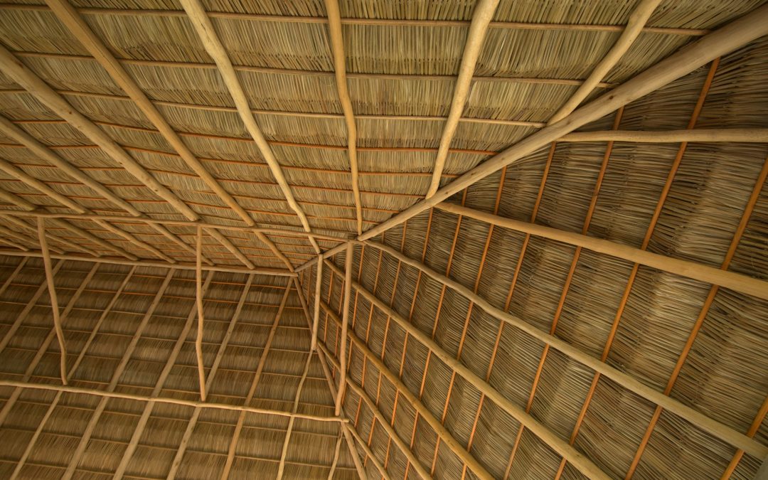 Wood Roof