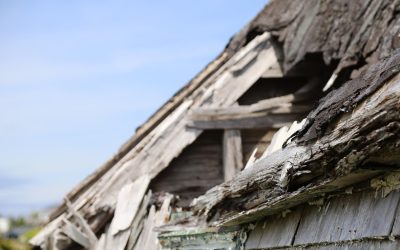 How to Spot Early Signs of Roof Damage