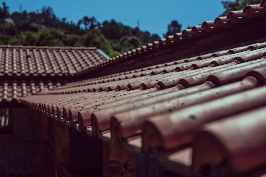 Shingle Roof