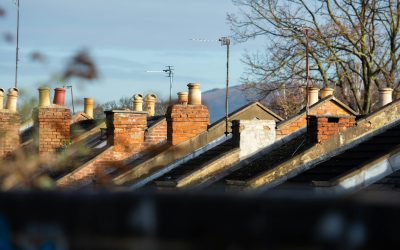 Signs You Need a New Roof: How to Replace It On Time