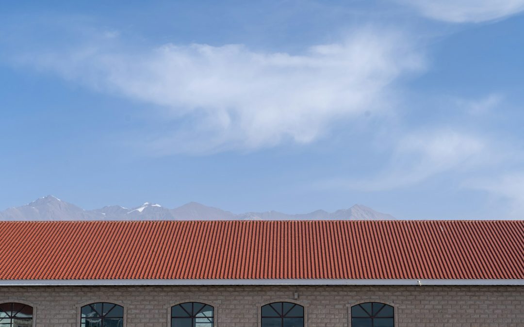 Maintenance Tips for Long-Lasting TPO Roofs